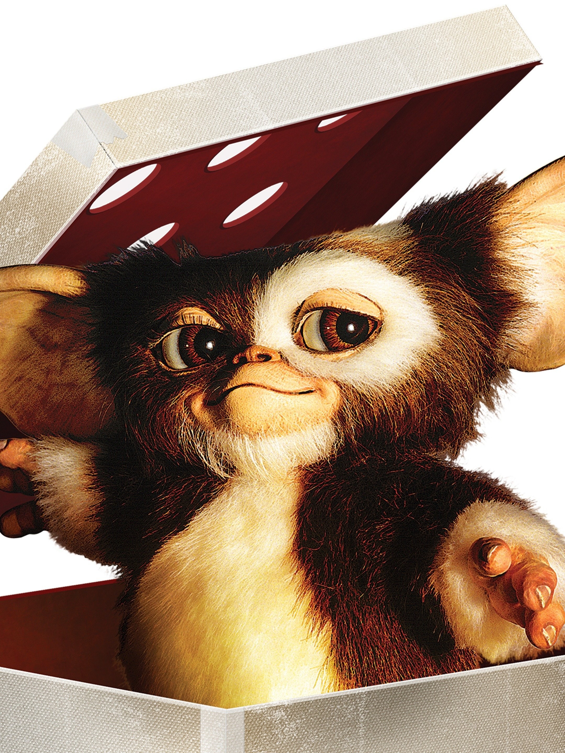 Gremlins  Rotten Tomatoes