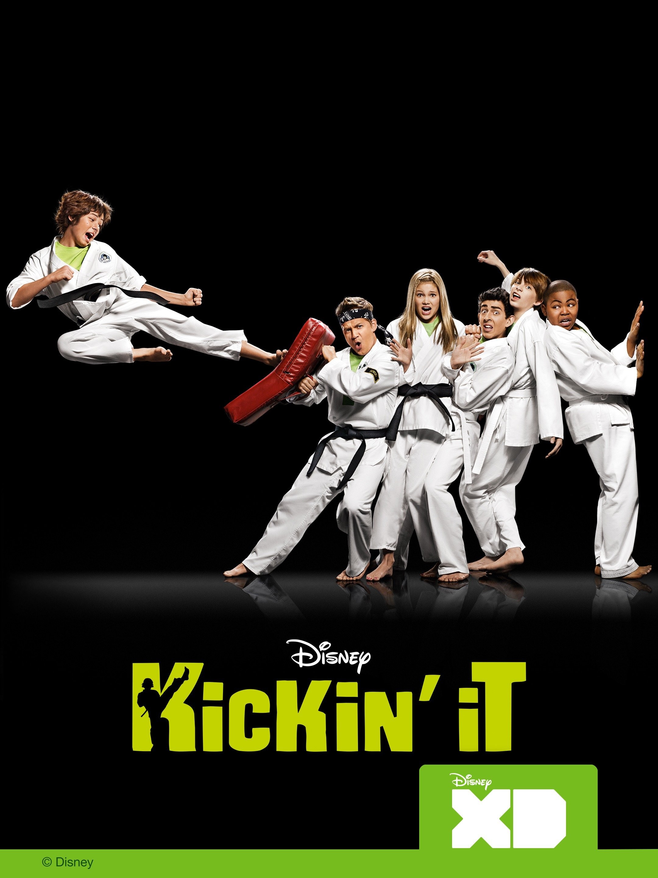 Taekwondo - Rotten Tomatoes