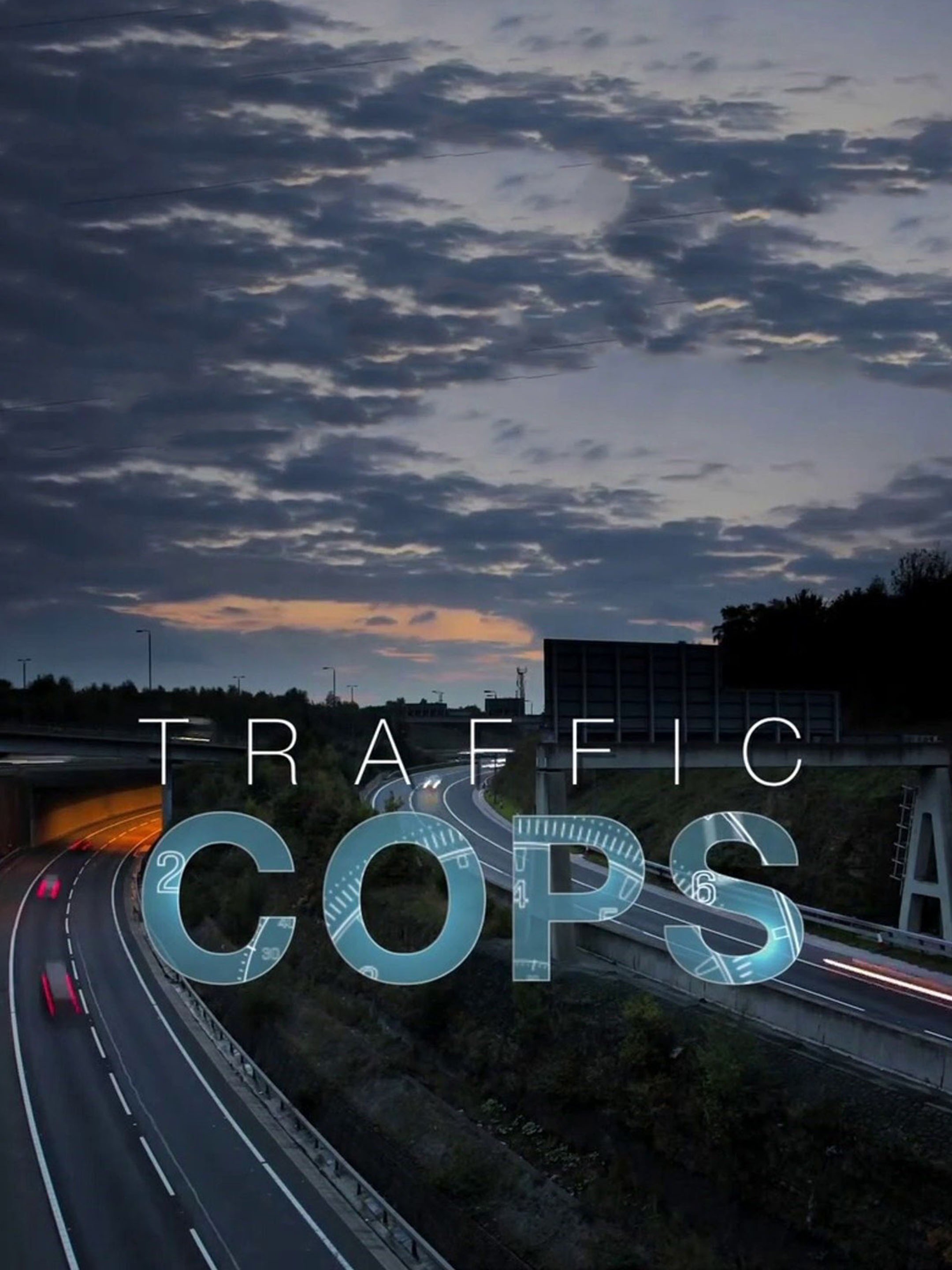 Traffic Cops Season 8 | Rotten Tomatoes