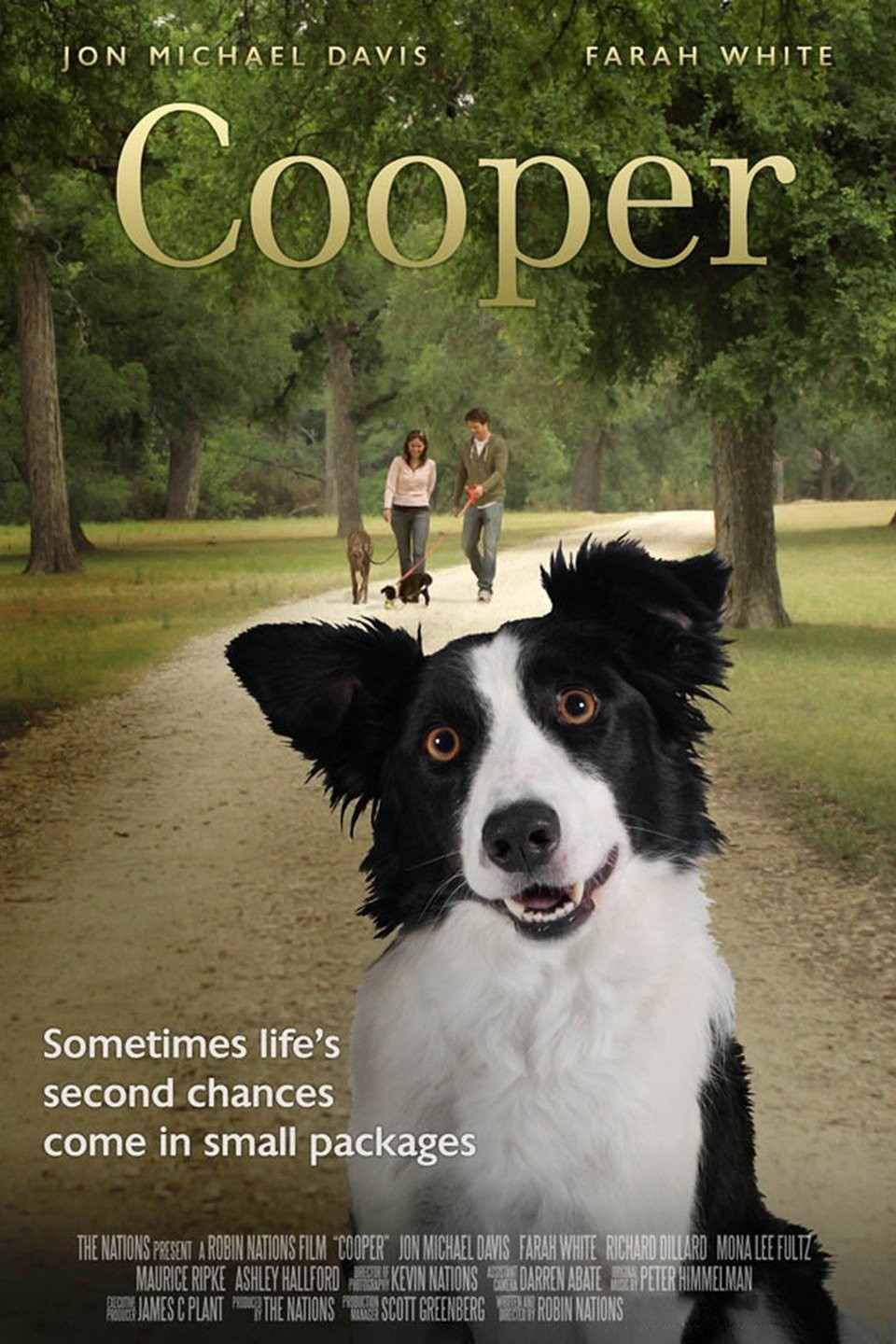 Cooper Pictures | Rotten Tomatoes