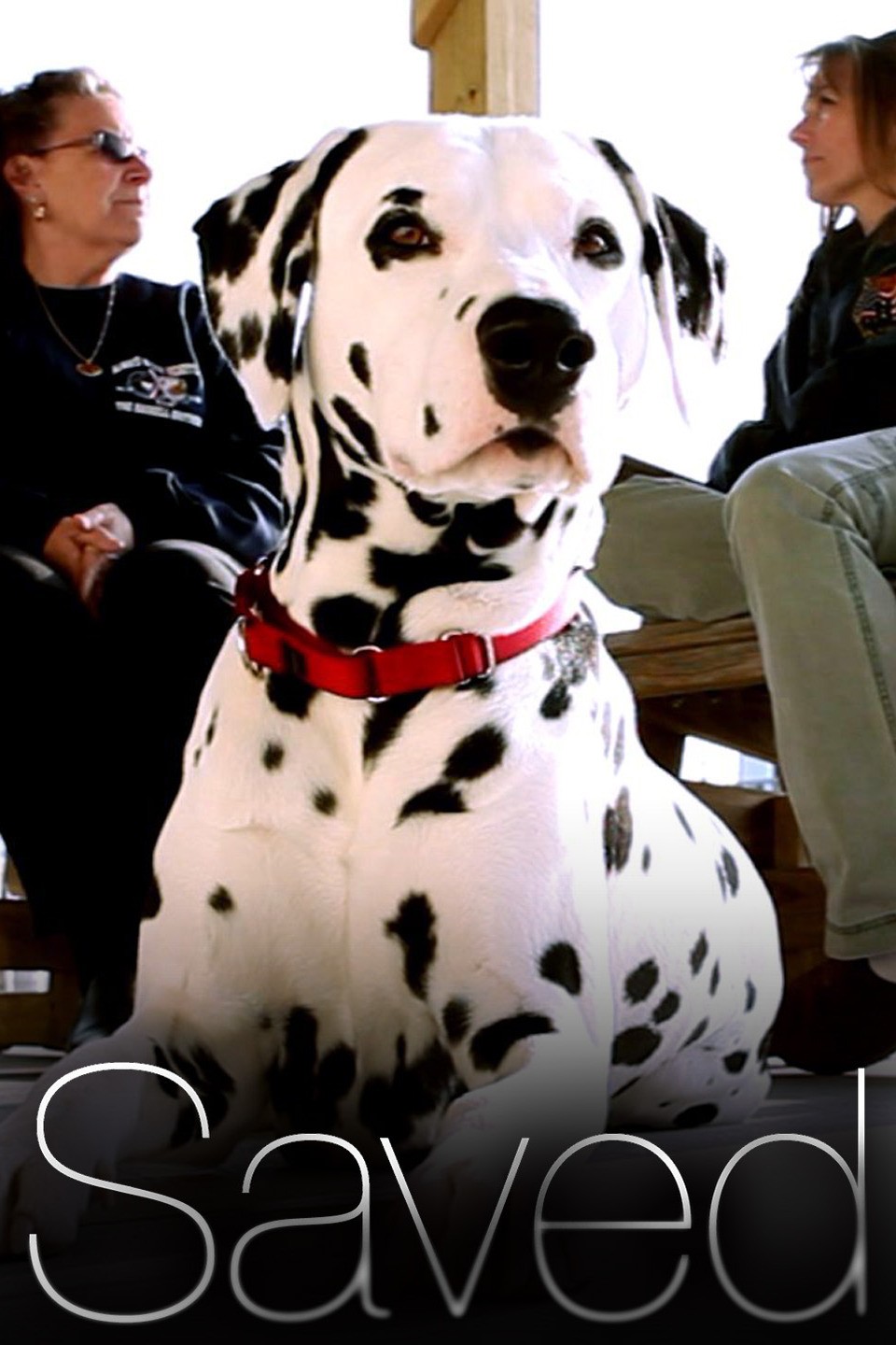 Saved Season 1 Rotten Tomatoes