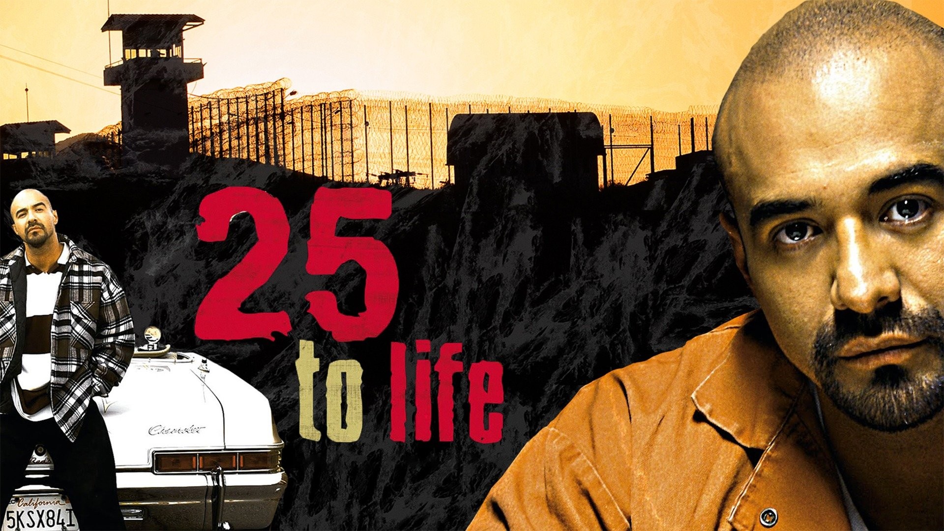 25 to Life - Wikipedia