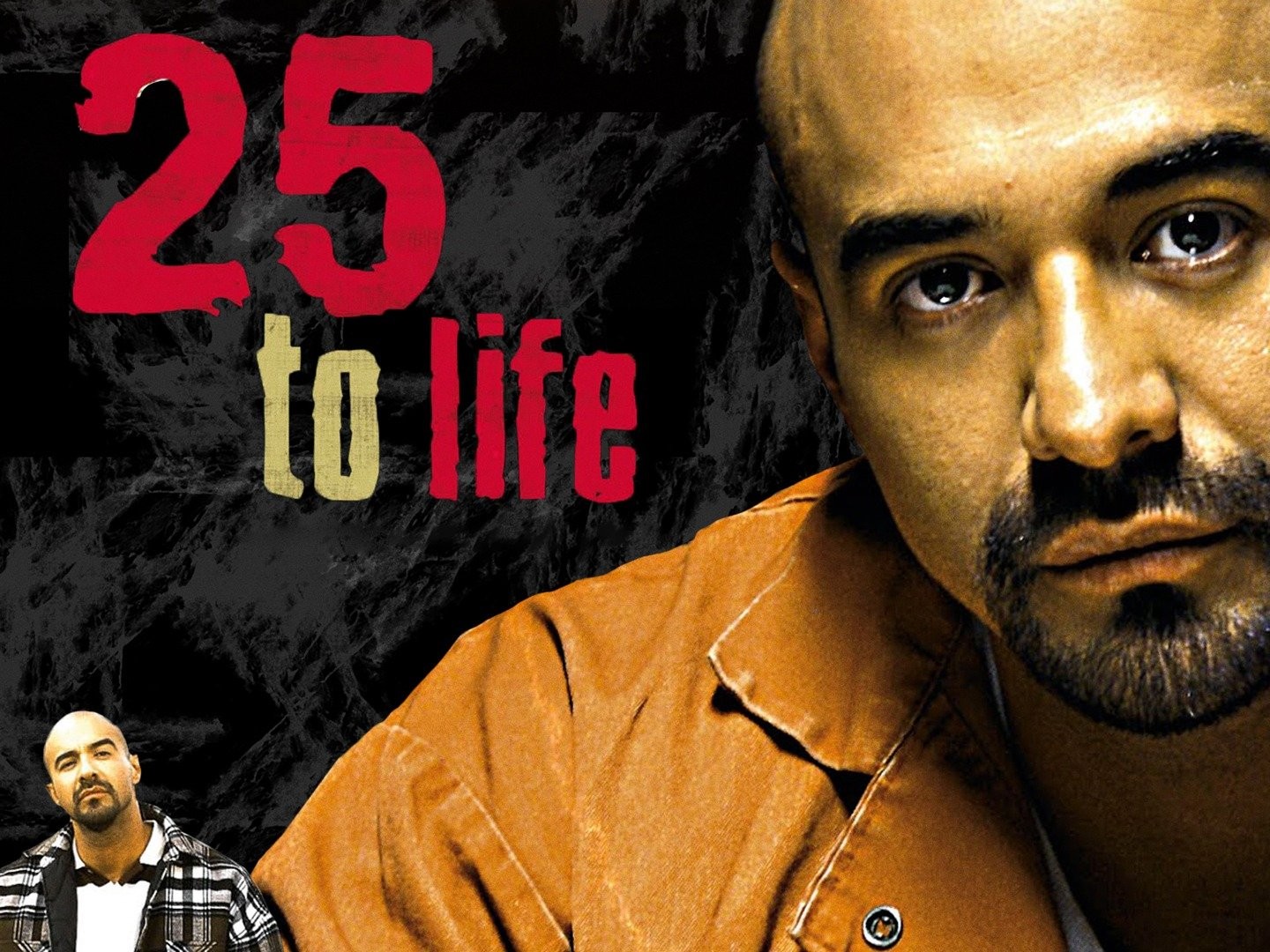 25 to Life - Wikipedia