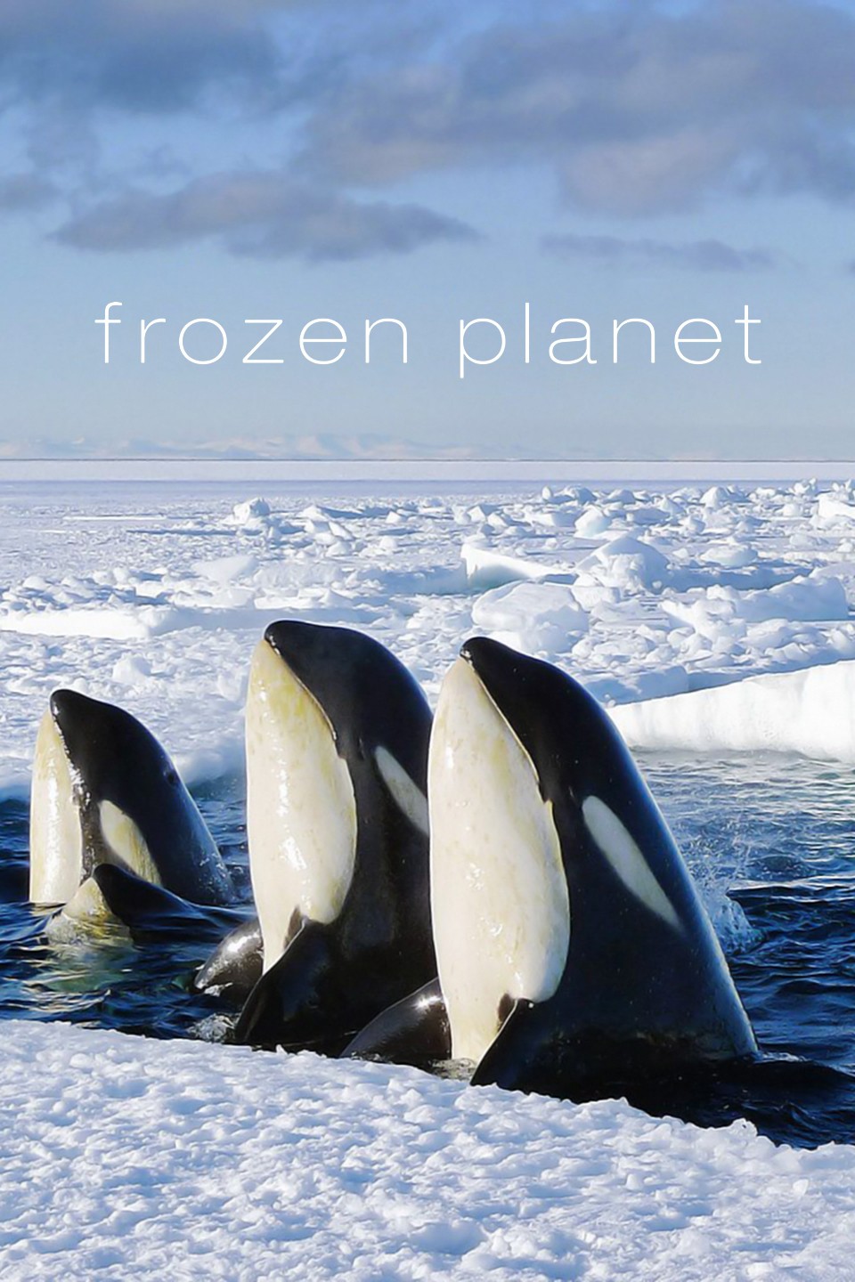 BBC One - Frozen Planet, On Thin Ice