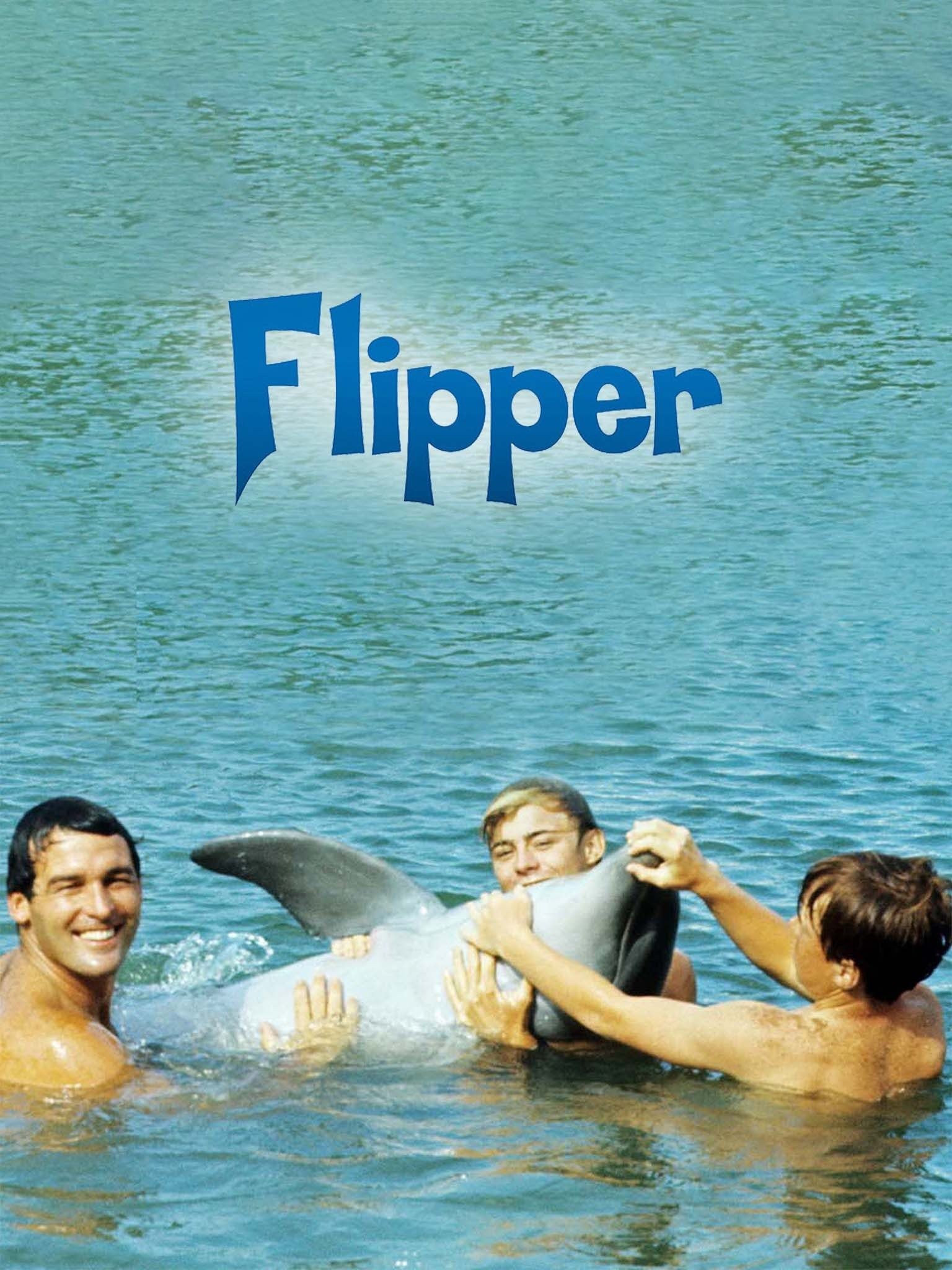 Flipper Season 1