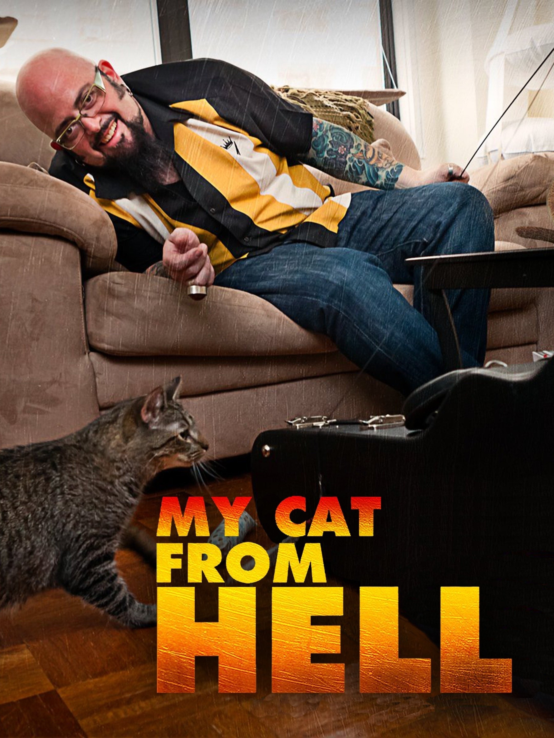 My Cat From Hell Season 2 Rotten Tomatoes