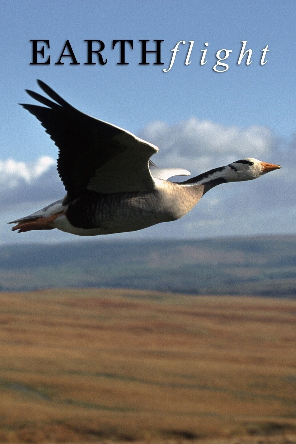 Earthflight, A Nature Special Presentation Season 1 | Rotten Tomatoes