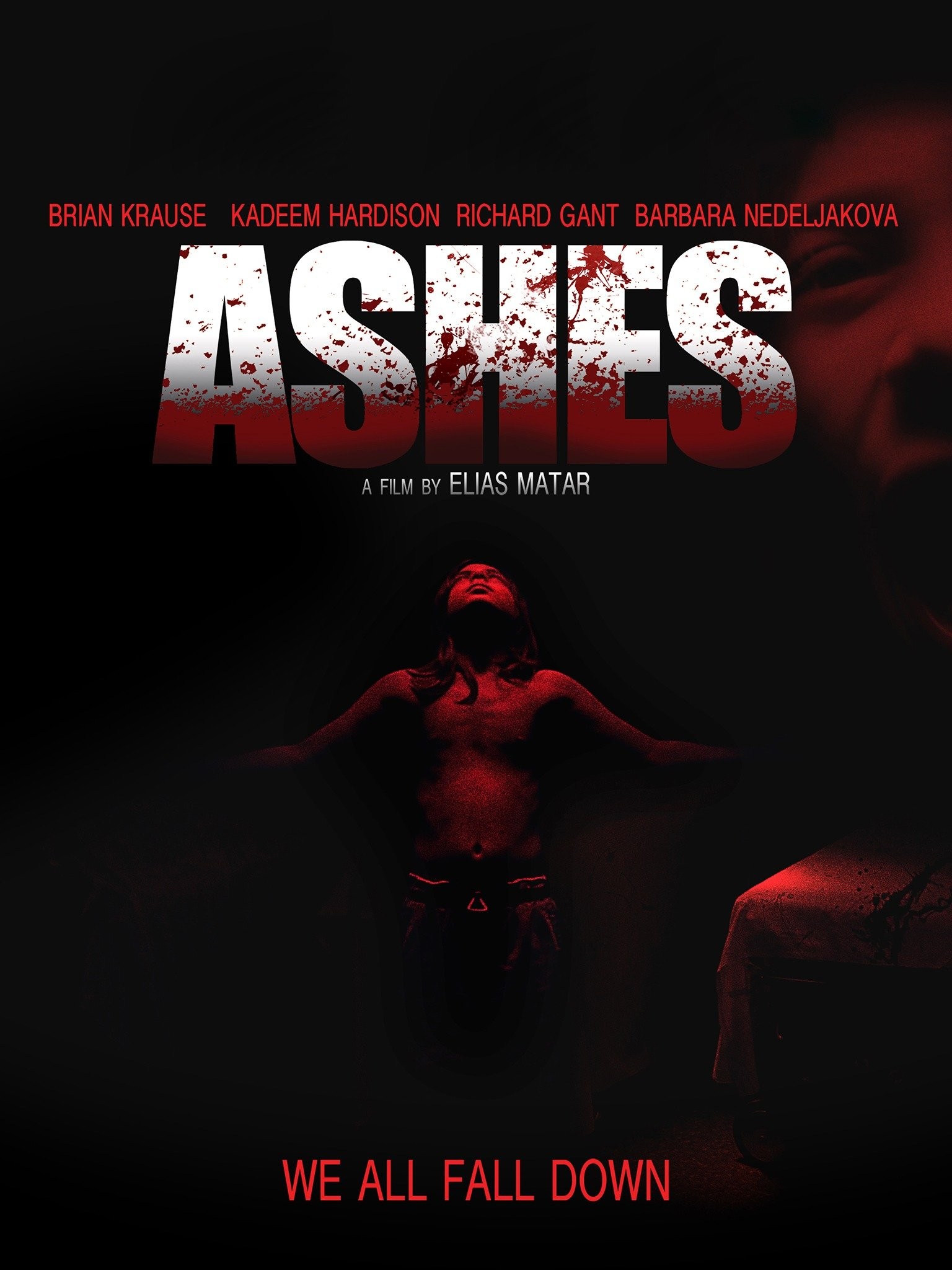 Into the Ashes - Rotten Tomatoes