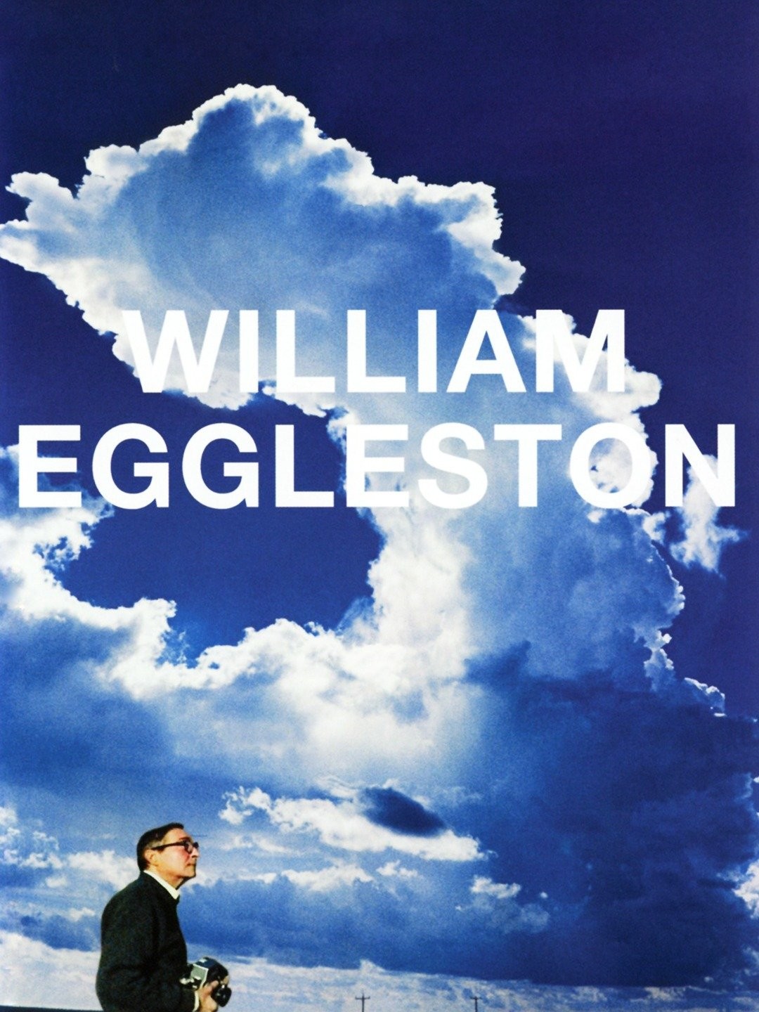 洋画・外国映画 William Eggleston: In The Real World William Eggleston in the Real World | Rotten Tomatoes