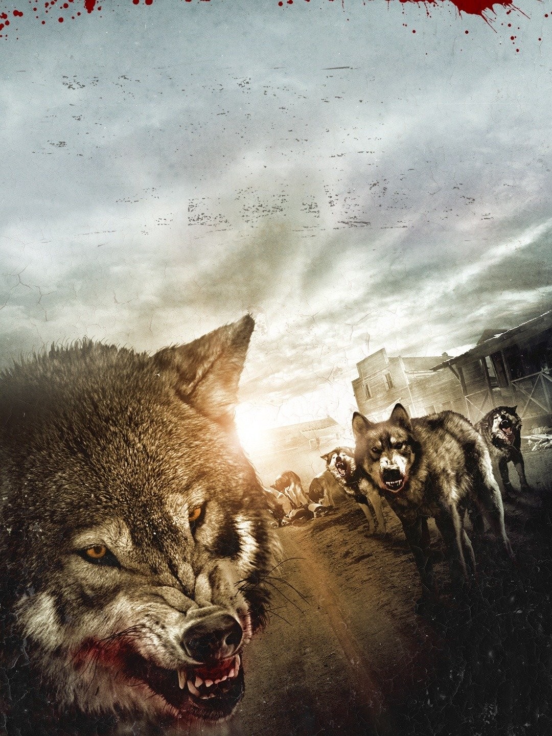 Scaredy Cat Watches Horror Show: Part II – The Wolfpack