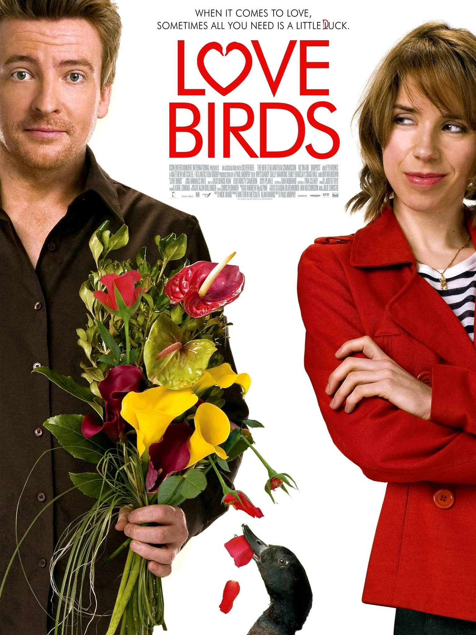 Love Birds Rotten Tomatoes