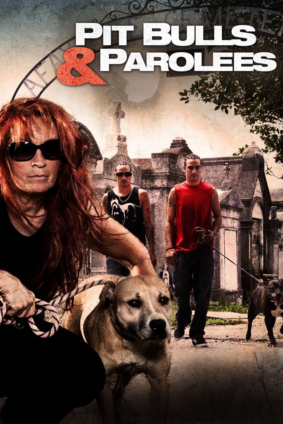 Pit Bulls and Parolees Season 1 | Rotten Tomatoes