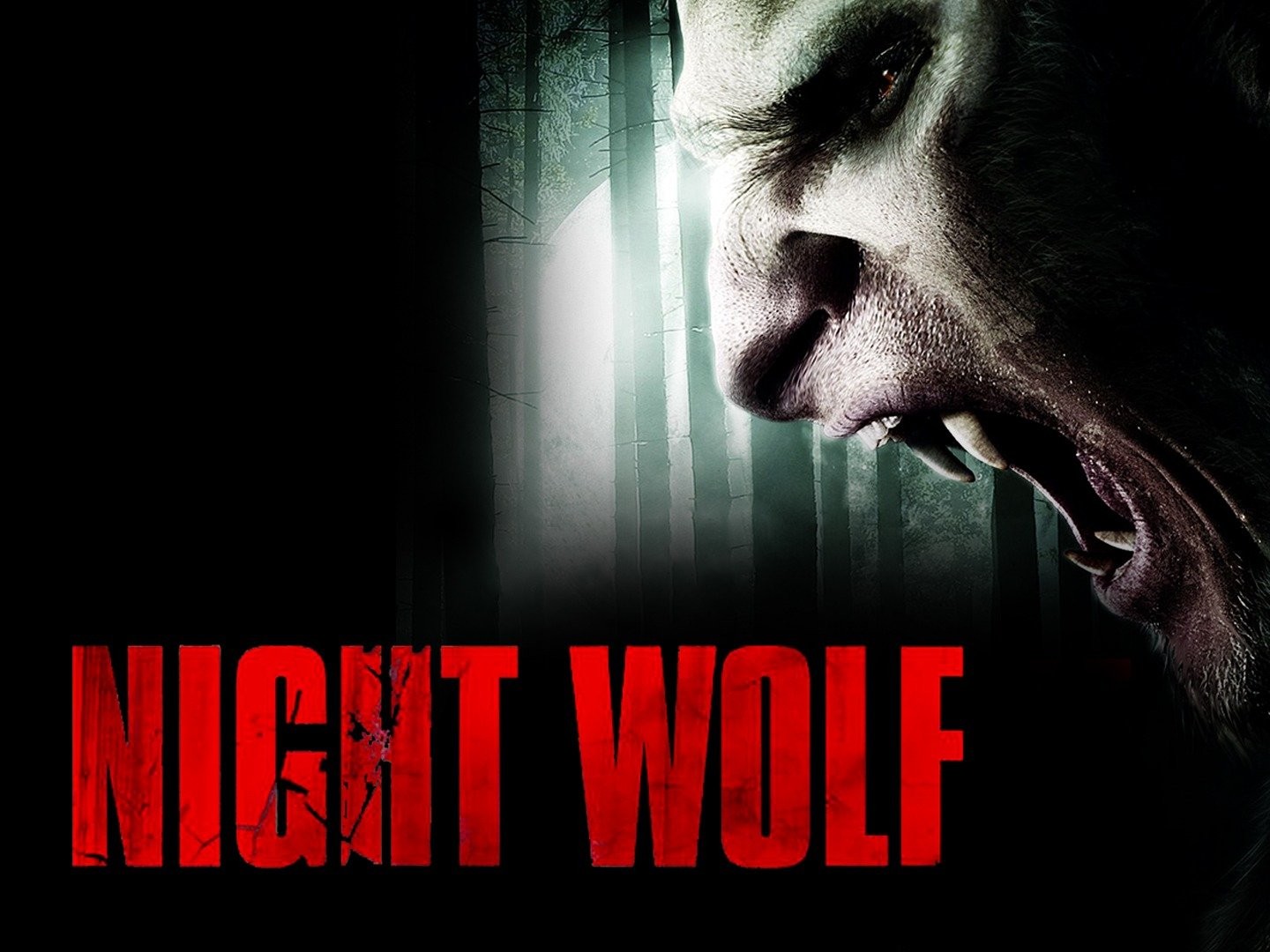 Reviews: Night of the Wolf - IMDb