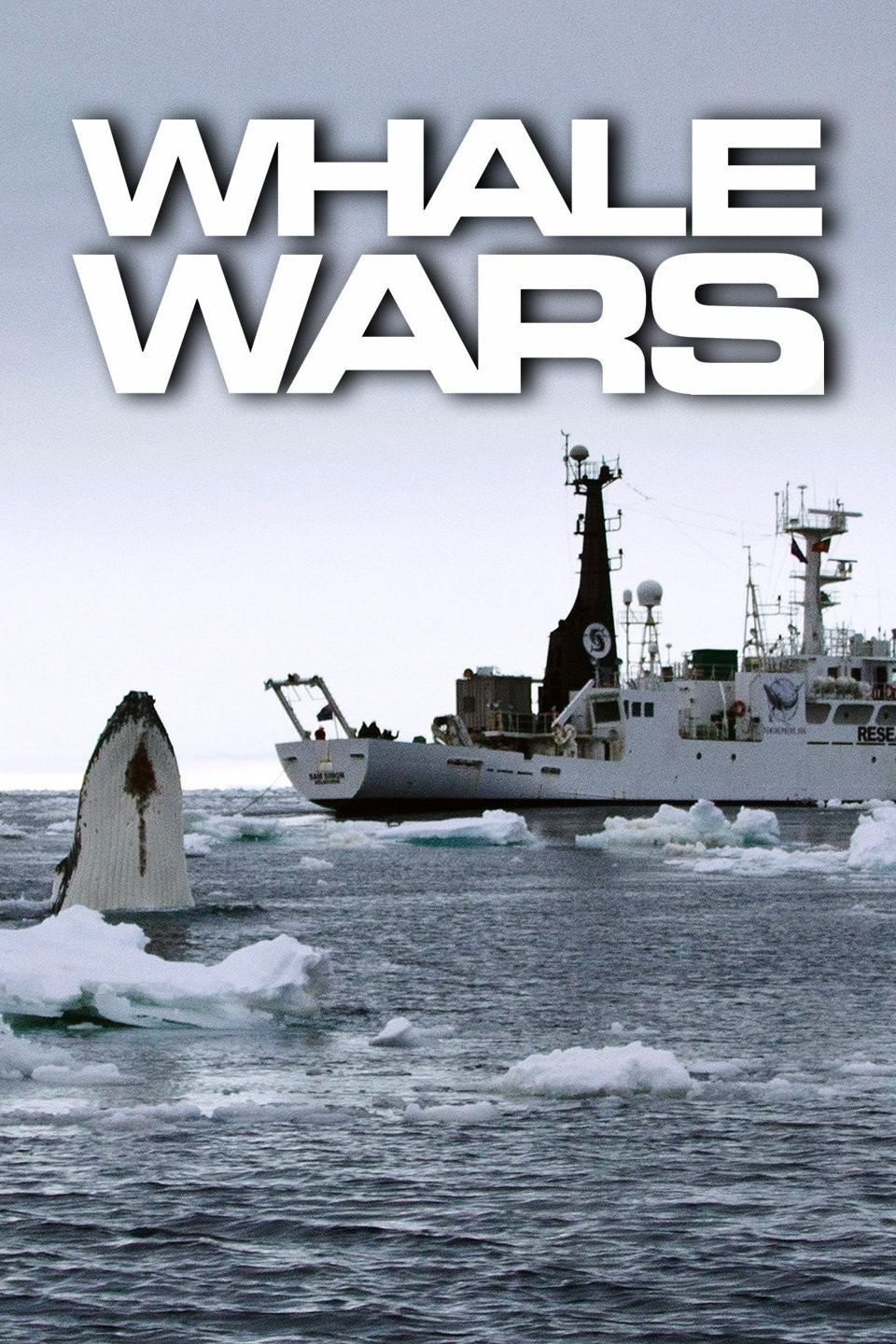 Whale Wars Season 5 | Rotten Tomatoes