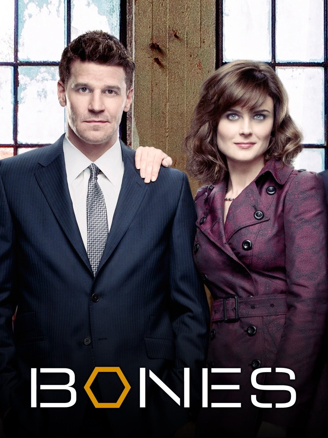 Season 8 - Bones