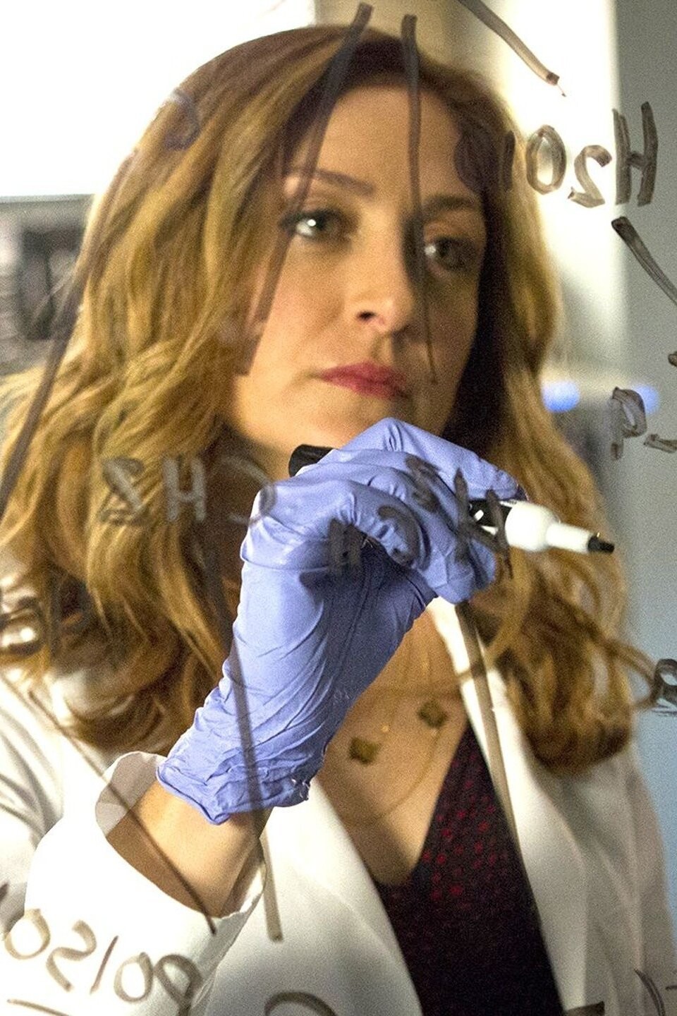 Throwing Down the Gauntlet Pictures Rotten Tomatoes