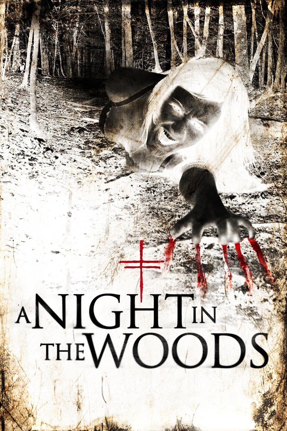 A Night in the Woods (2011) - IMDb