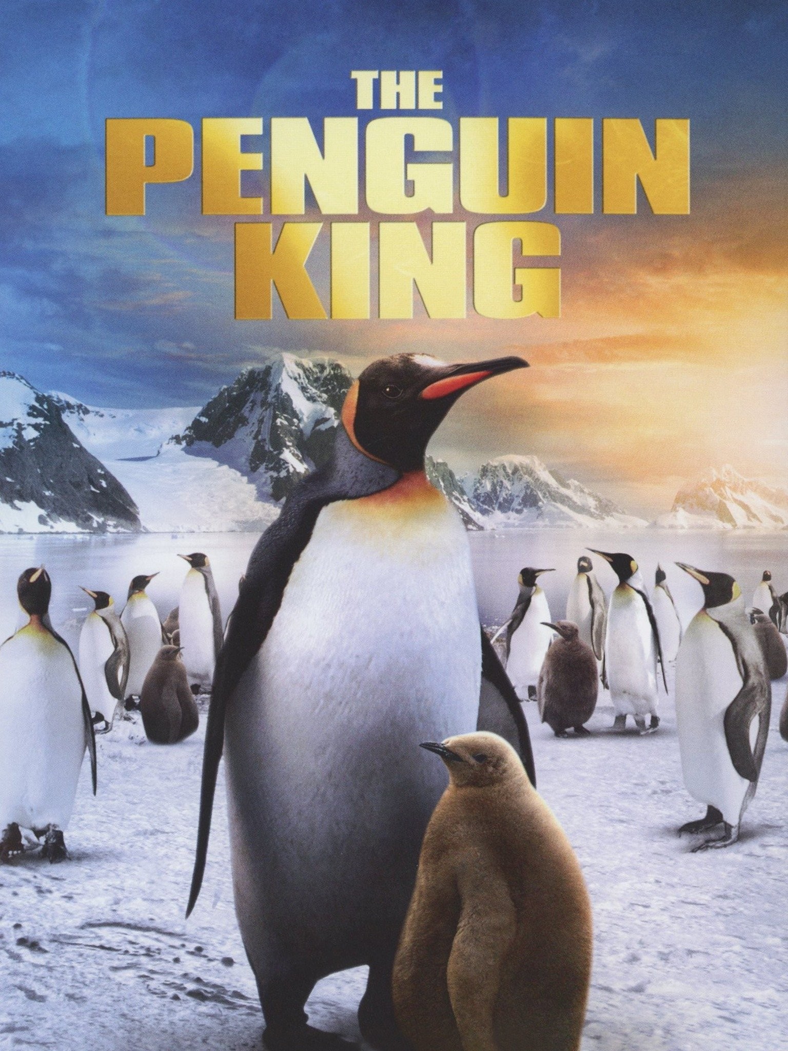 The Penguin King | Rotten Tomatoes 