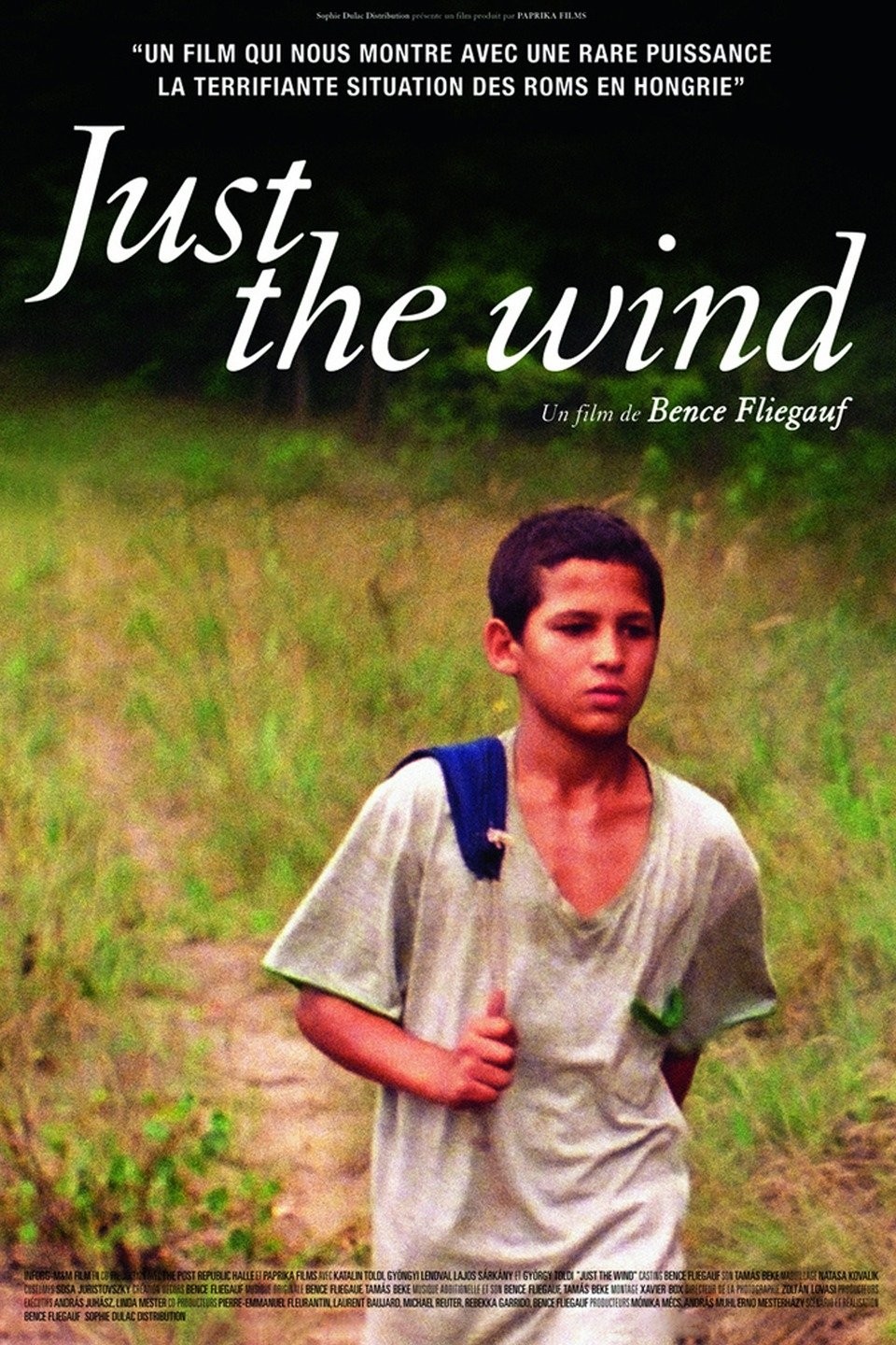 Just the Wind Rotten Tomatoes