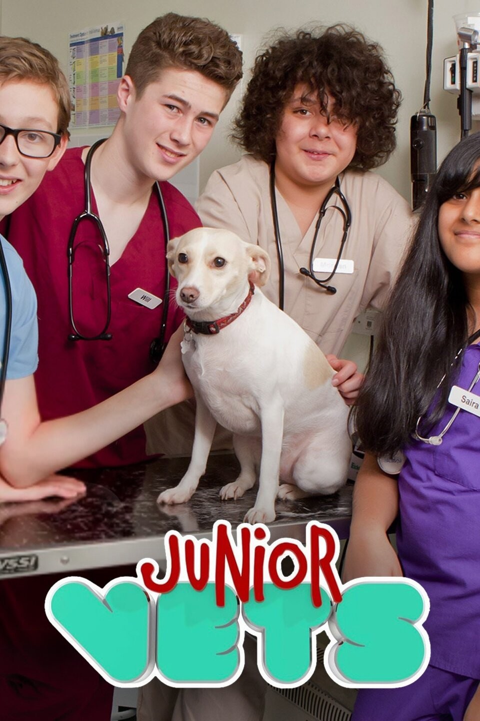 その他 Being a Vet With Veterinarian e Sanders [DVD] Be the Vet Children's Veterinary Book Series