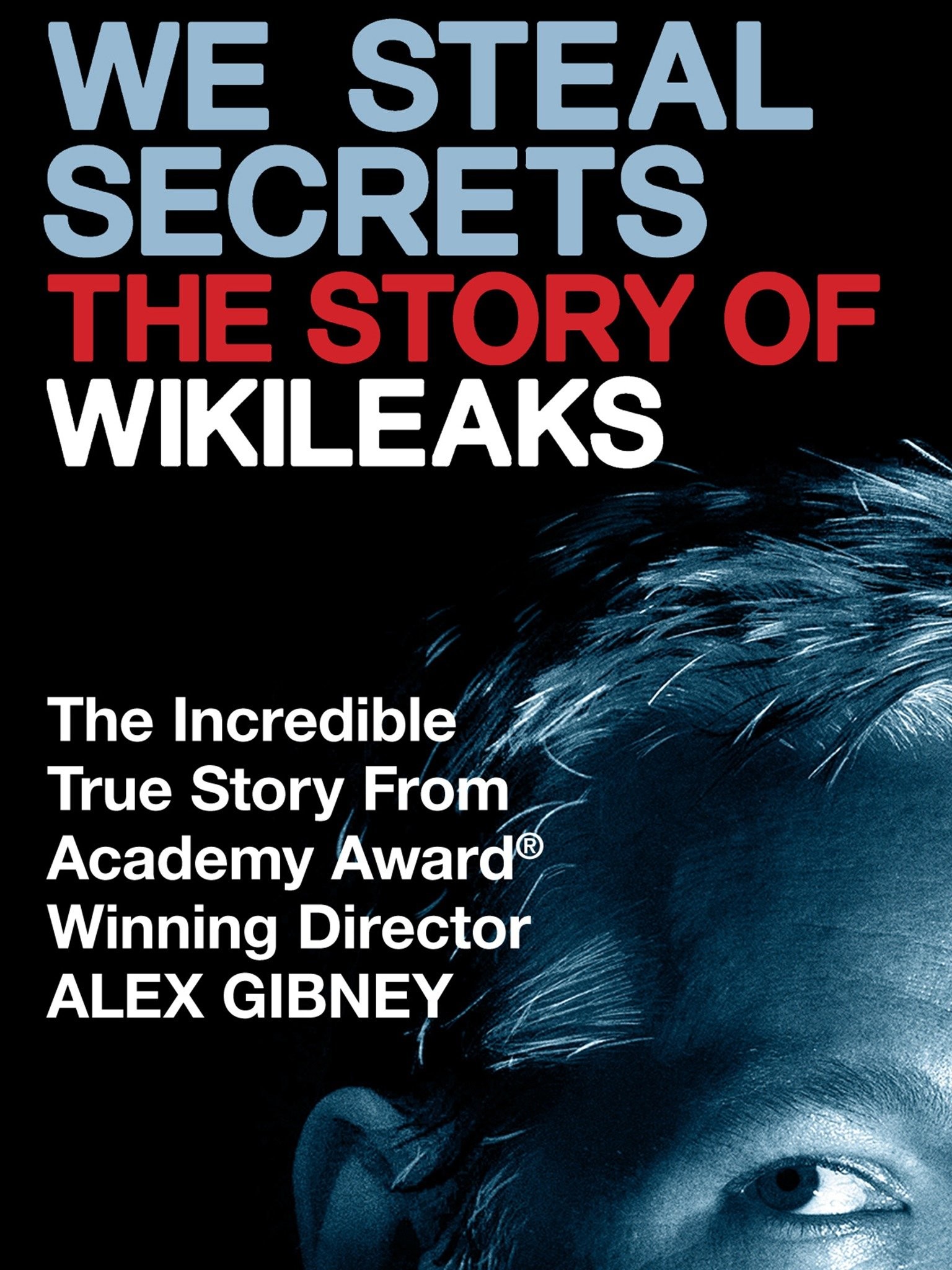 We Steal Secrets: The Story of WikiLeaks poster
