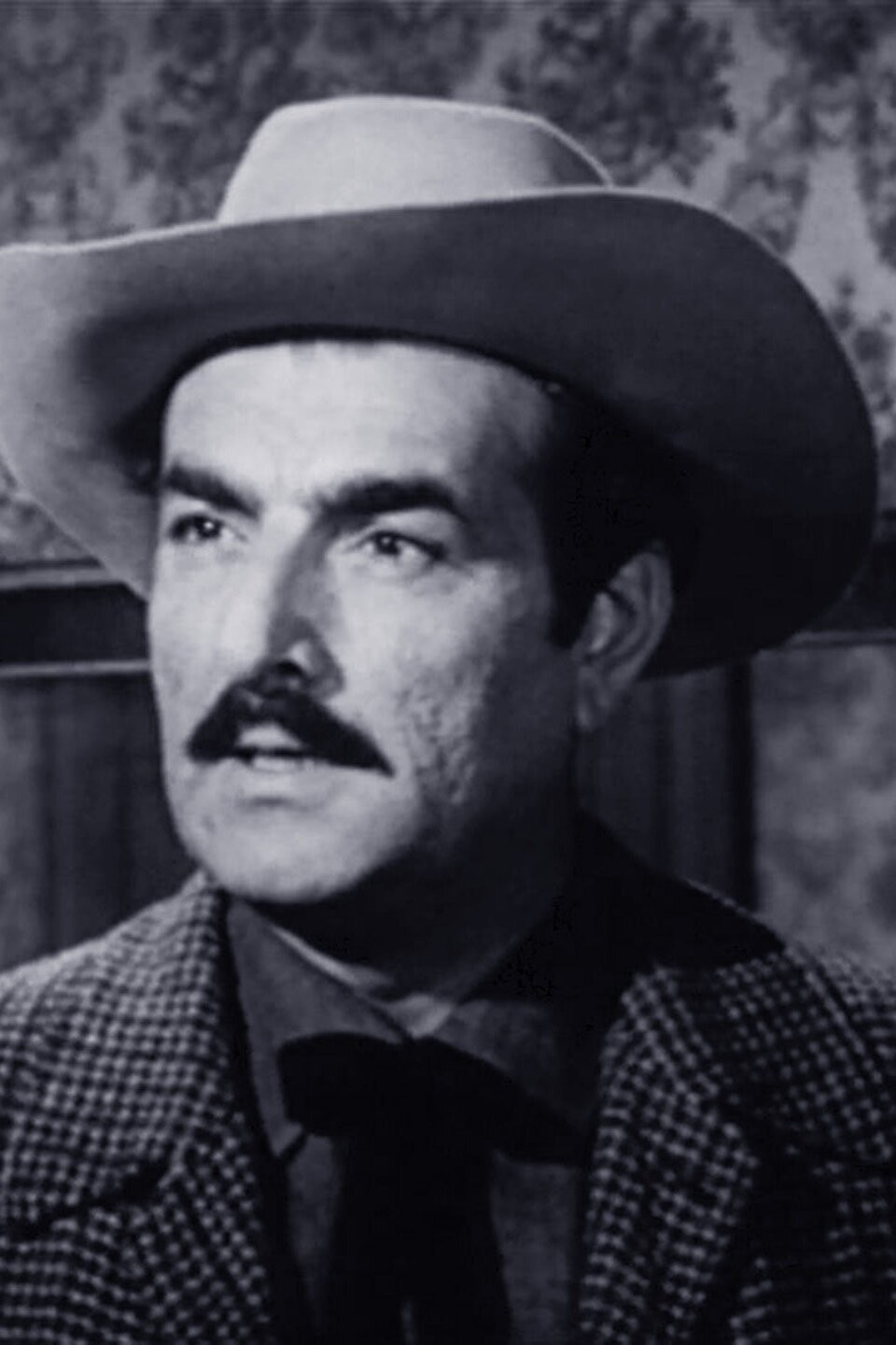 The FrameUp Pictures Rotten Tomatoes