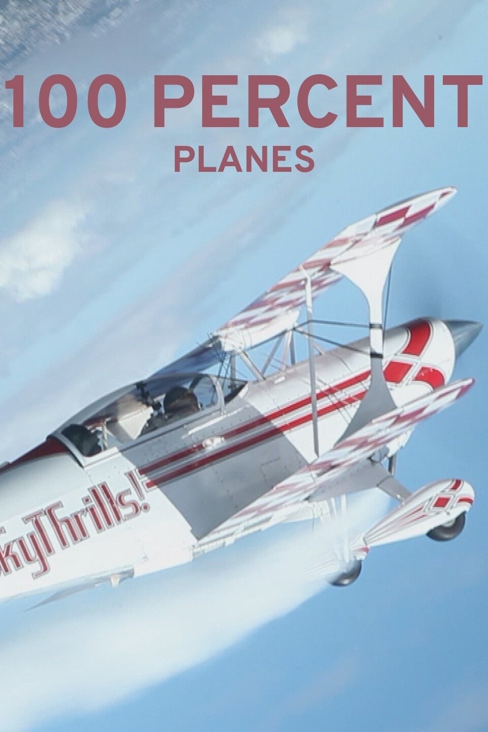 100 Percent Planes Pictures Rotten Tomatoes