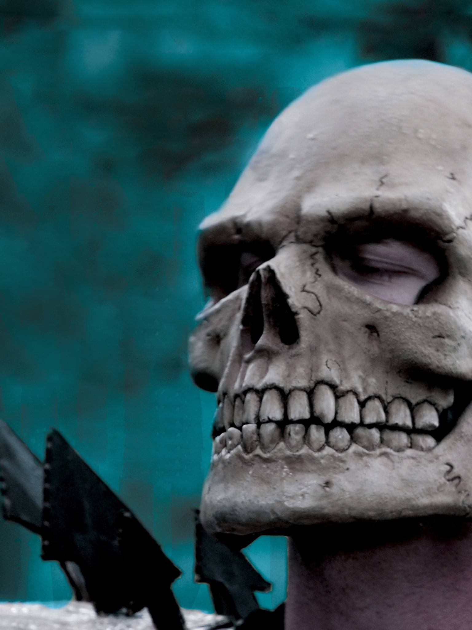 The Skulls - Rotten Tomatoes