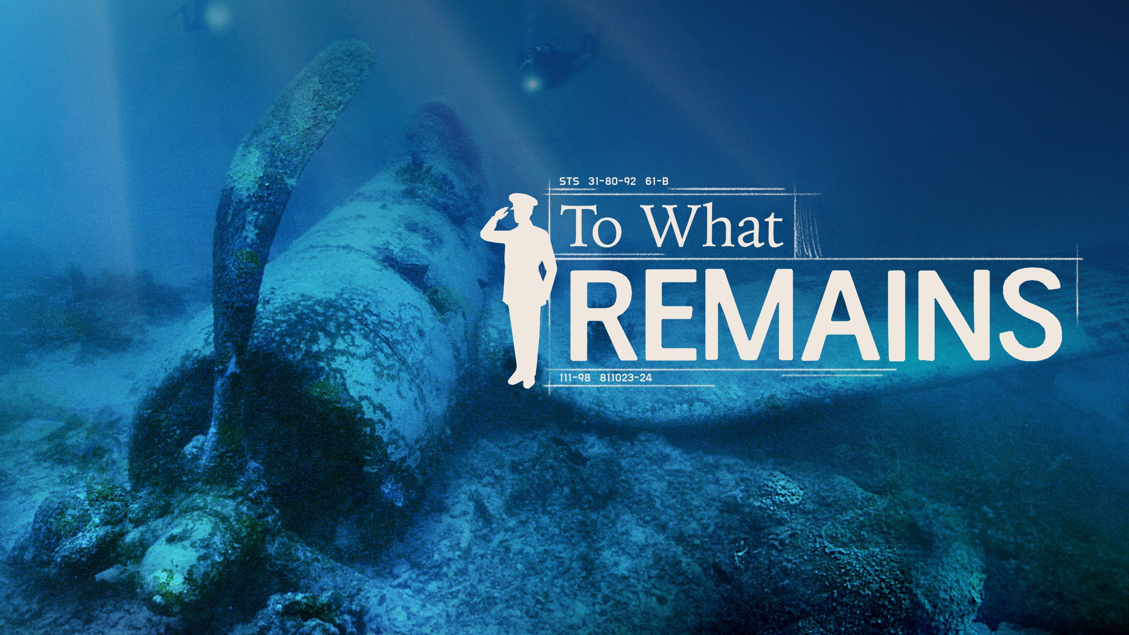 To What Remains | Flixster