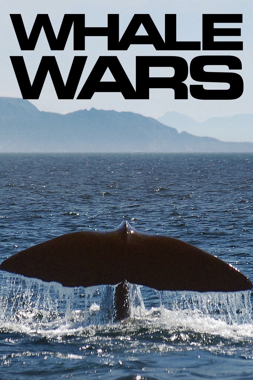 Whale Wars: Season 1 | Rotten Tomatoes