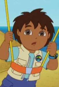 Go, Diego, Go!: Season 1, Episode 4 - Rotten Tomatoes