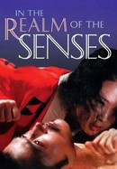 In the Realm of the Senses poster image