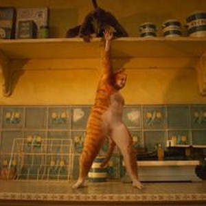 Movie Review  'Cats:' Musical will be catnip for some moviegoers