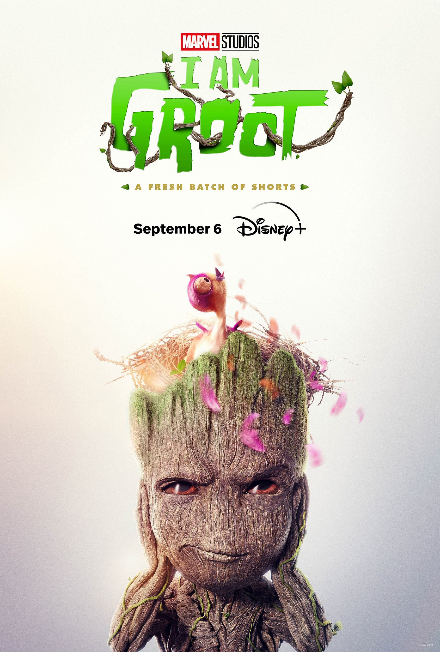 I Am Groot season 2 release date: When and where to watch the spinoff  series of
