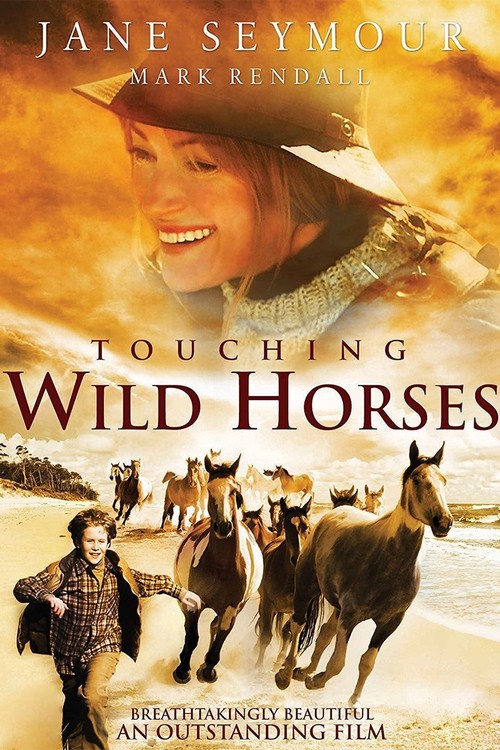 Touching Wild Horses poster