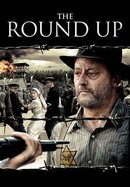 The Round Up poster image