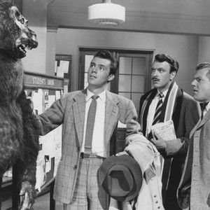 DOCTOR IN THE HOUSE, from left: Dirk Bogarde, Donald Sinden, Kenneth More, 1954 doctorinthehouse1954-fsct002(doctorinthehouse1954-fsct002)