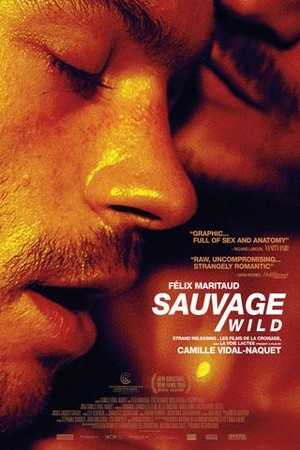 Wild poster