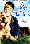 A Dog of Flanders poster image