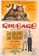 Rhubarb poster image