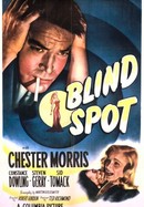 Blind Spot poster image