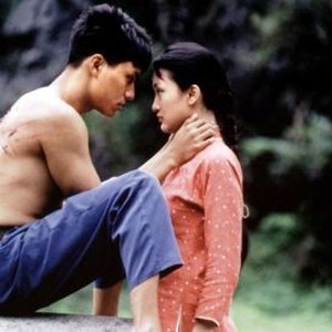 The Little Chinese Seamstress (2002)