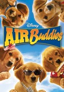 Air Buddies poster image