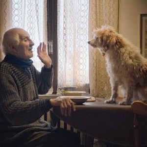 "The Truffle Hunters photo 1"