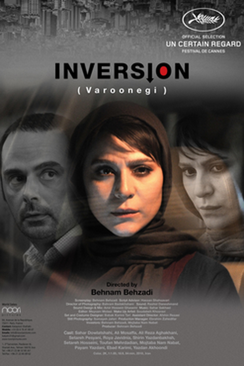 Inversion poster