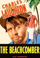 Beachcomber poster image