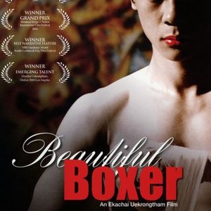 Beautiful Boxer (2004) photo 20