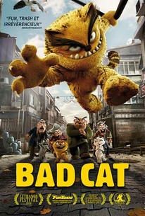 Bad Cat (Kötü Kedi Serafettin) (2017) - Rotten Tomatoes