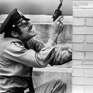 THE SUPER COPS, Ron Leibman, 1974