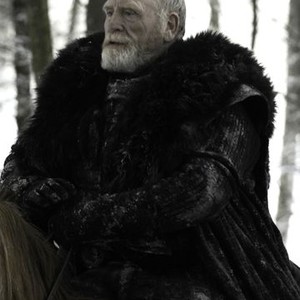 James Cosmo as Commander Mormont